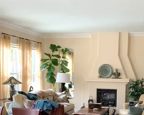 Living room with fireplace, beige walls, large plant, and tan curtains.