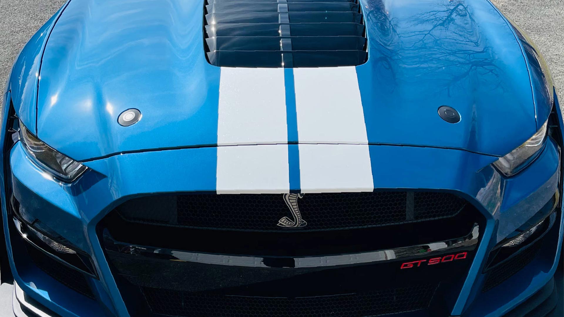 is paint correction worth the investment