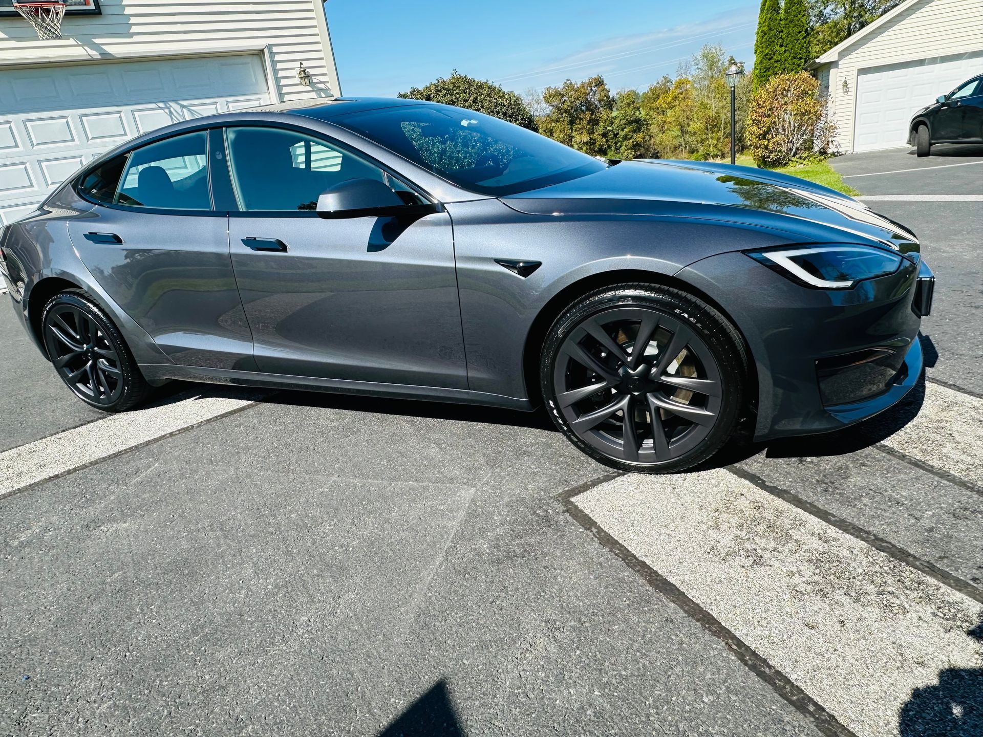 Tesla Ceramic Coating