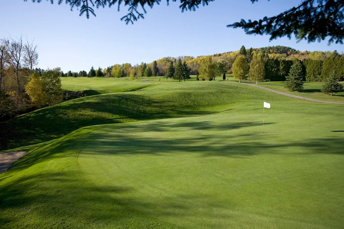 Sunny golf course fairway with green rolling hills and trees in the background