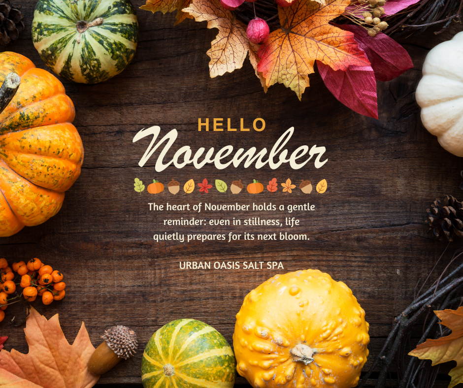 November Specials  - relaxing salt therapy, massages, infrared sauna, and wellness treatments in Traverse City, Michigan. 