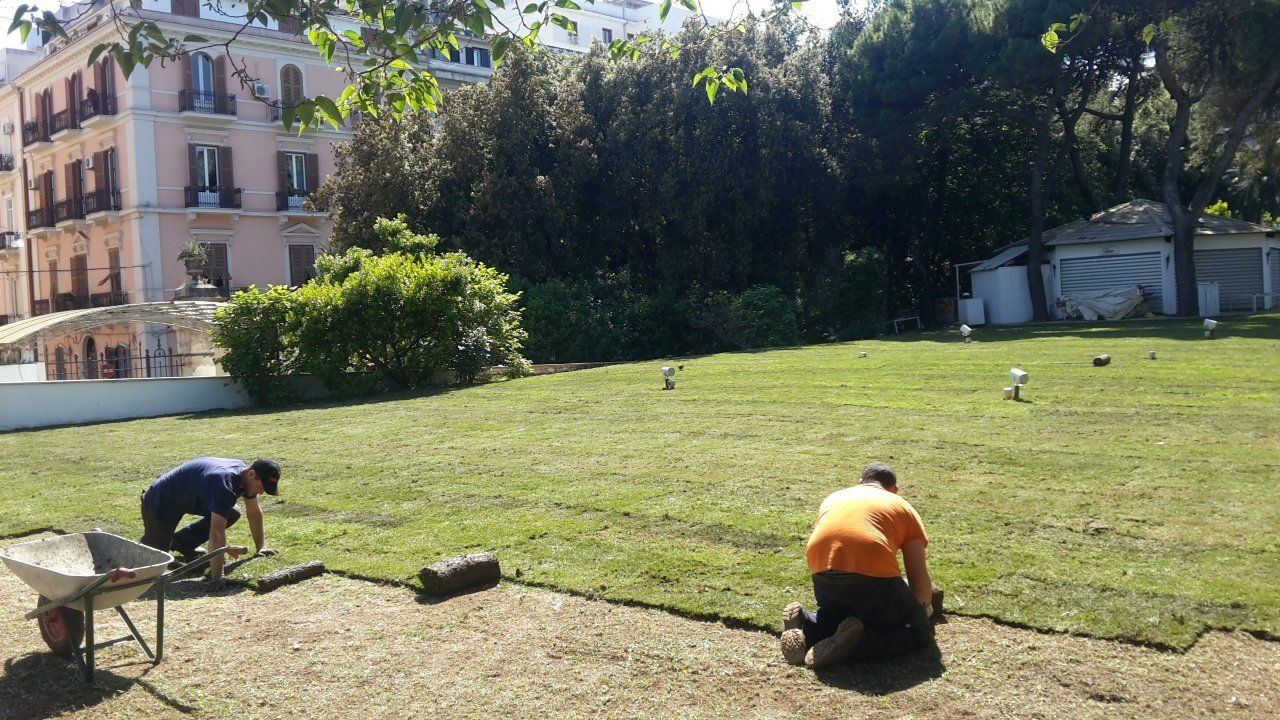 attività di giardinaggio