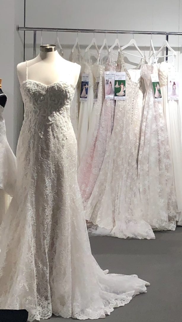 Row of wedding dresses hanging on a rack, various styles, mostly white, some with lace and beading.