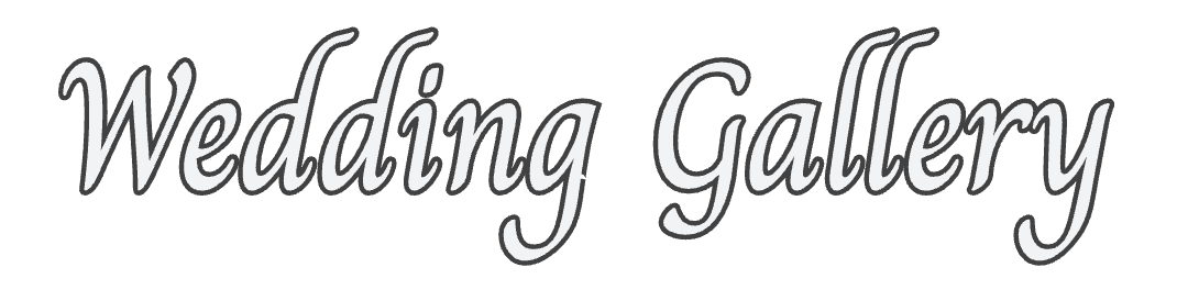 Wedding Gallery in script font.