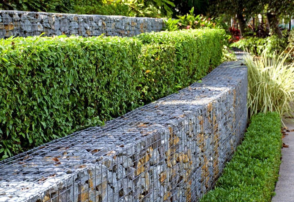 Tiered Garden Beds With Gabion Walls and Green Hedges — Rhino Excavator & Bobcat Hire in Brinsmead, QLD 