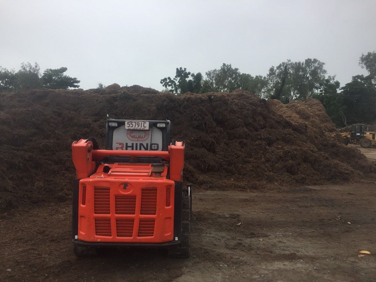 Orange Skid Steer Loader in Front of a Large Pile of Wood Chips — Rhino Excavator & Bobcat Hire in Trinity Beach, QLD