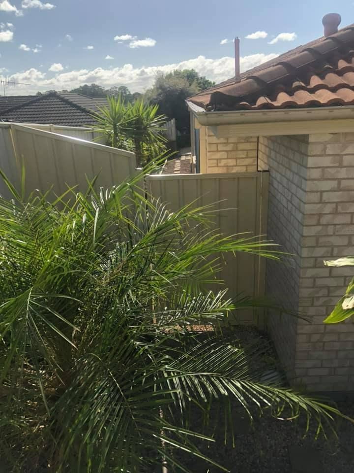 A Palm Tree Is Growing in Front of A Brick Building — D & B Fencing in Nabiac, NSW