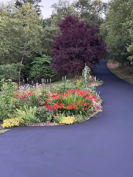 A driveway with flowers and trees on the side of it.