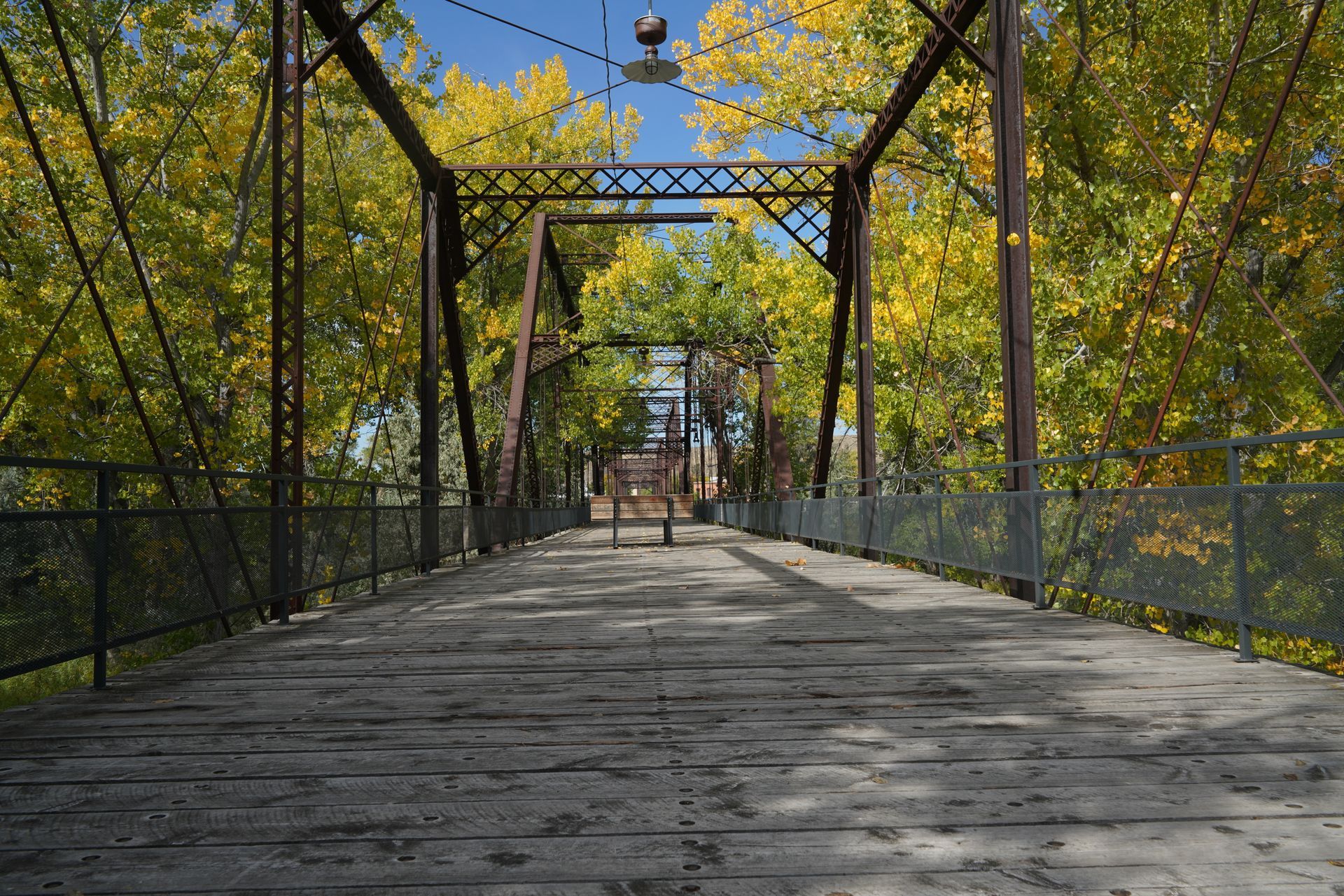 An empty wooden bridge with trees in the background