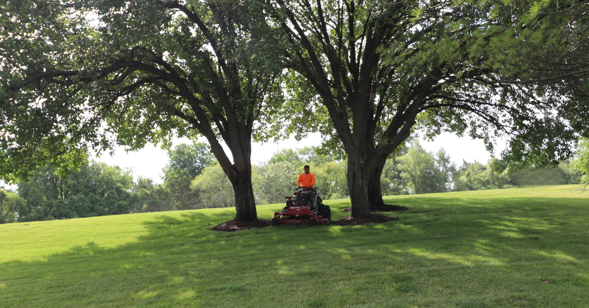 Chesterfield Lawns & Landscapes | Lawn Mowing Service