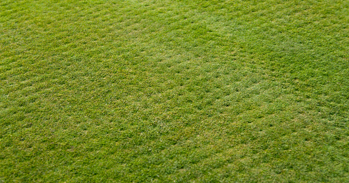 Lawn Aeration Service | Chesterfield Lawns & Landscapes