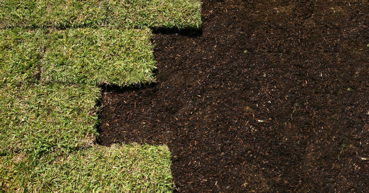 Sod Installation Services For New & Existing Lawns | Chesterfield Lawns & Landscapes