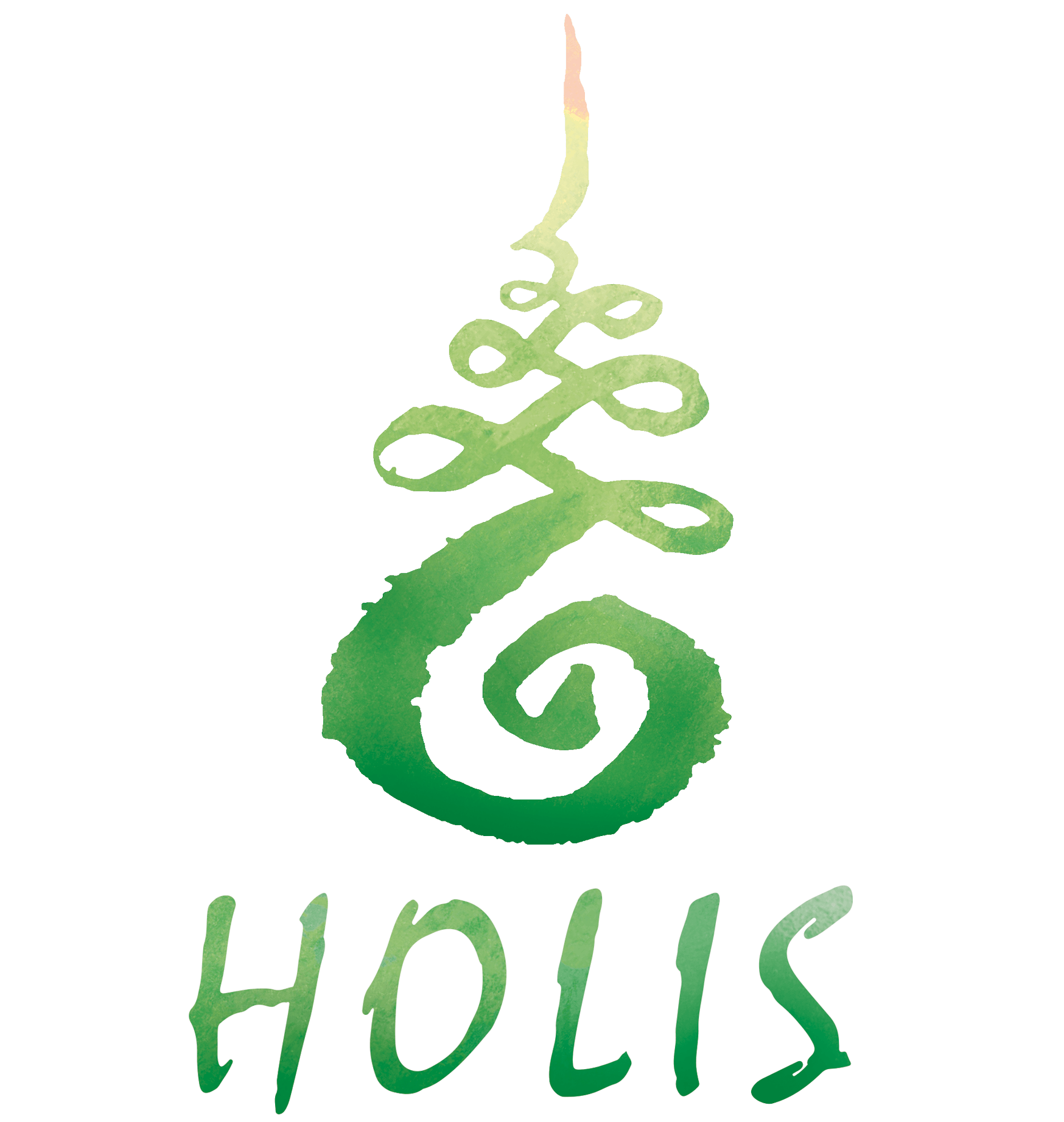 logo-holis-header
