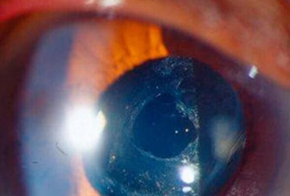 Dr. Edgard José Echeverría Rosas