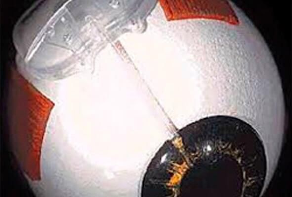 Dr. Edgard José Echeverría Rosas