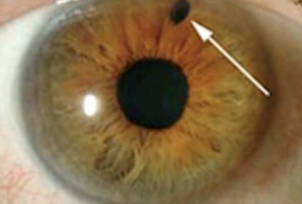 Dr. Edgard José Echeverría Rosas