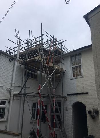 domestic scaffold