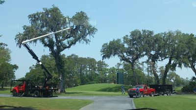 Storm Damageclean Up — Tree Trimming in Jacksonville, FL