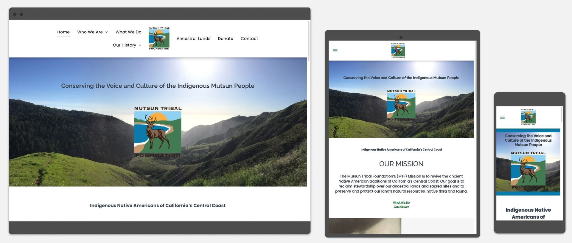 A website is displayed on a computer , tablet , and cell phone.