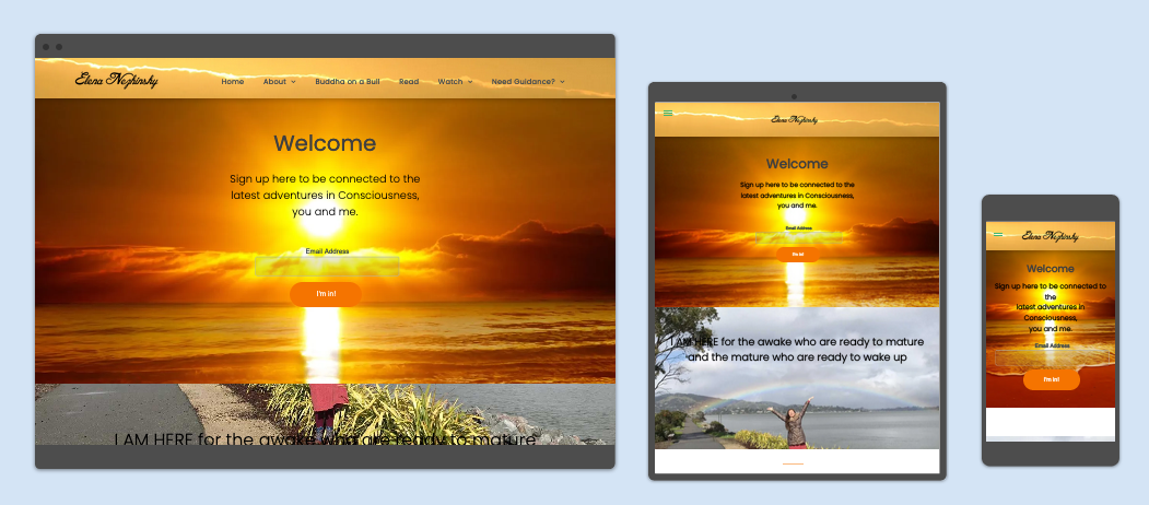A website is displayed on a tablet , phone and computer.
