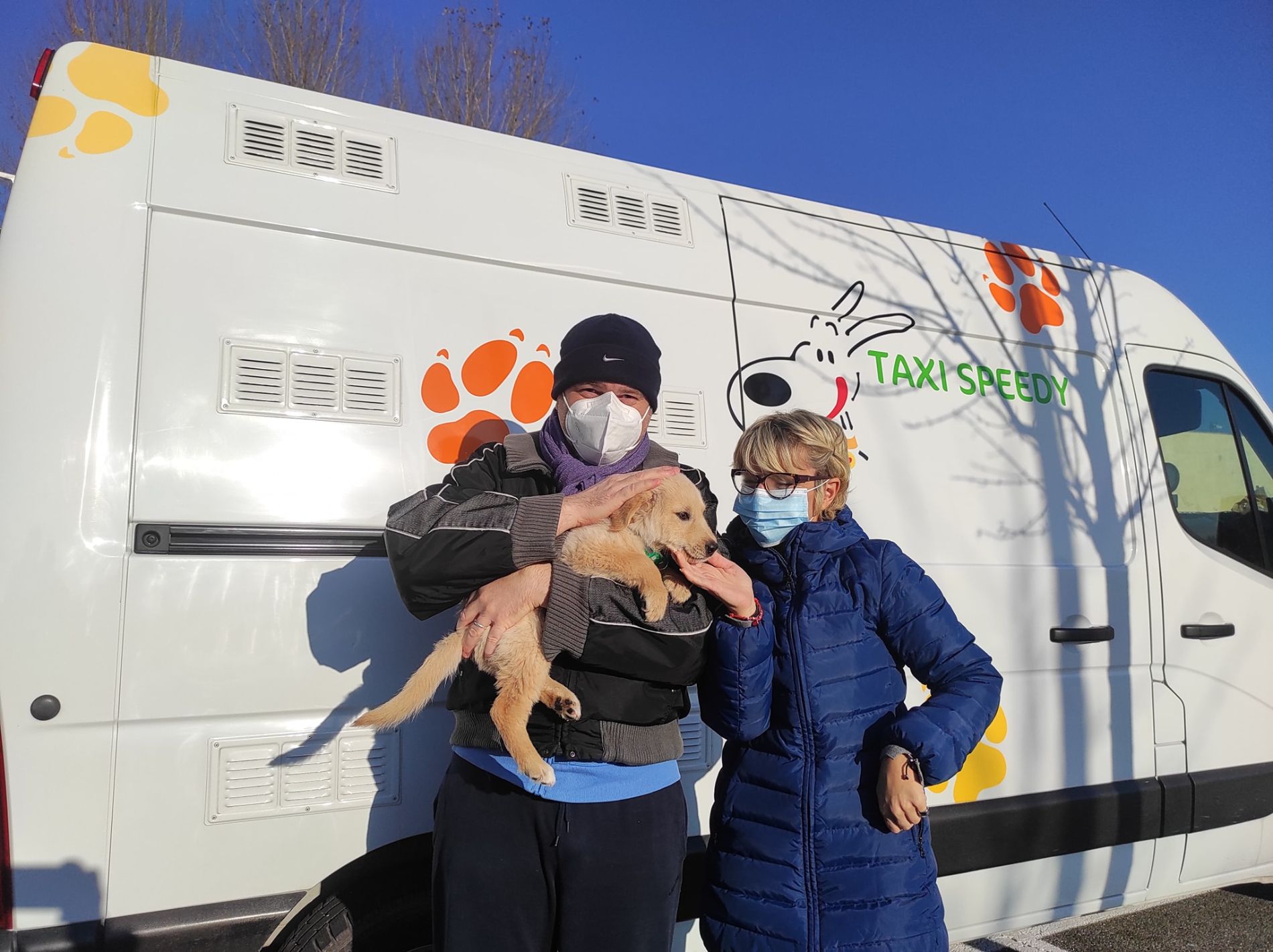 trasporto di un cane