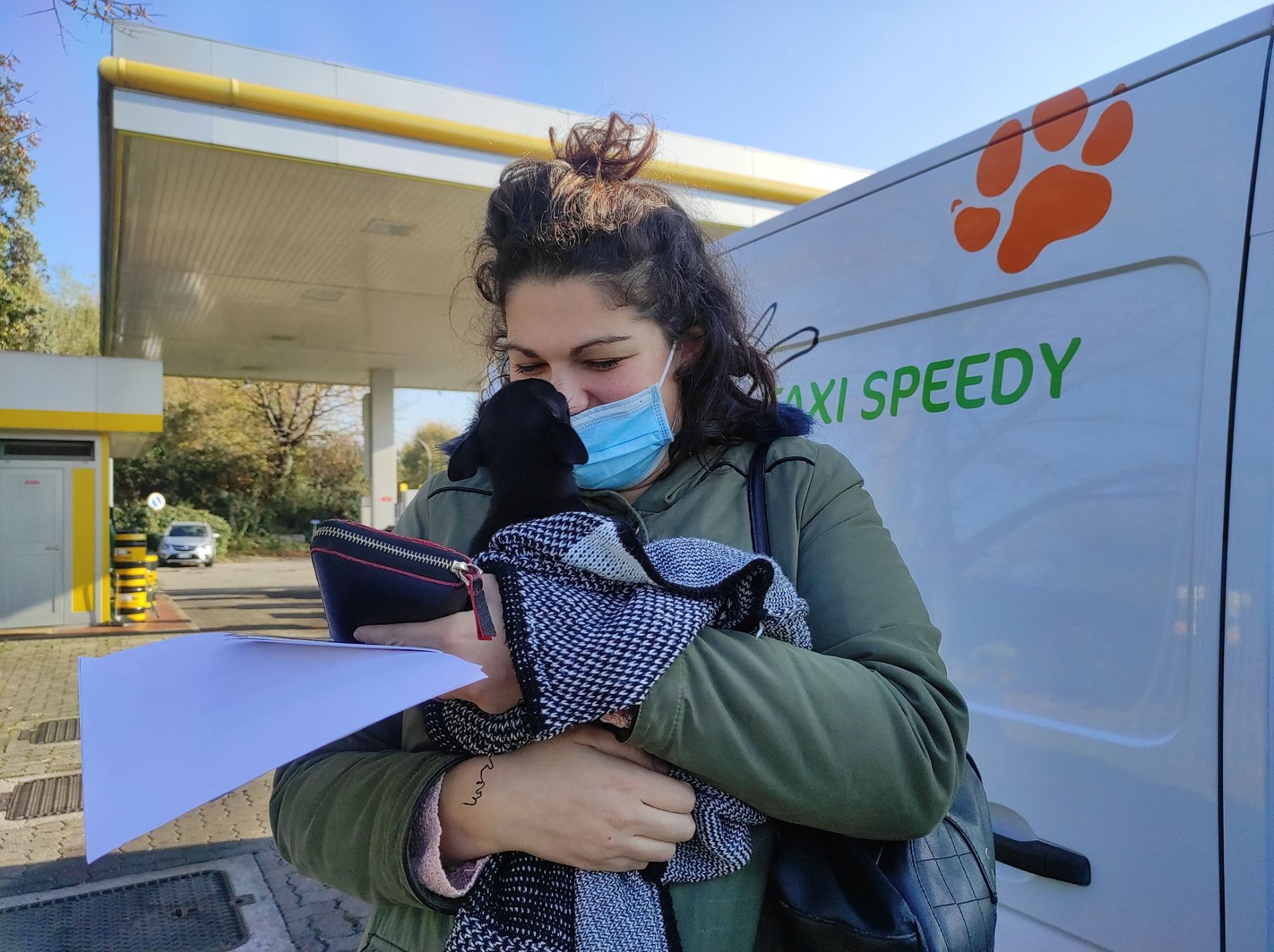 trasporto su strada di un cane