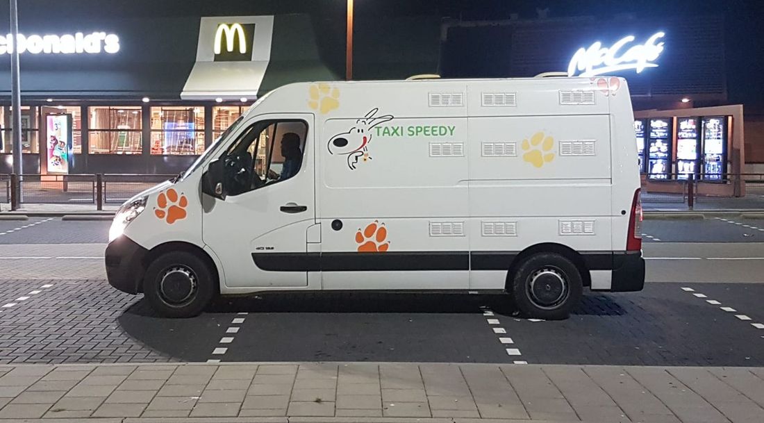 furgone per il trasporto di animali domestici