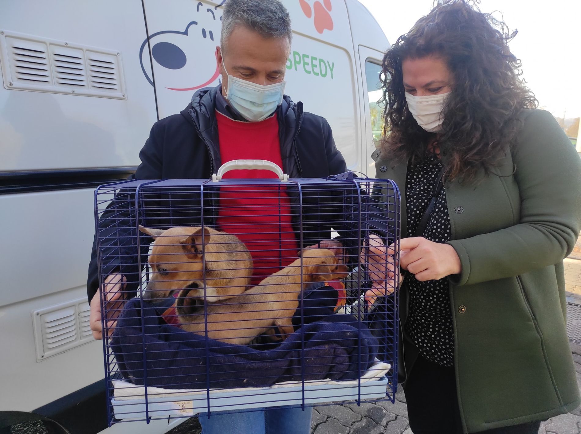 cane durante un trasporto