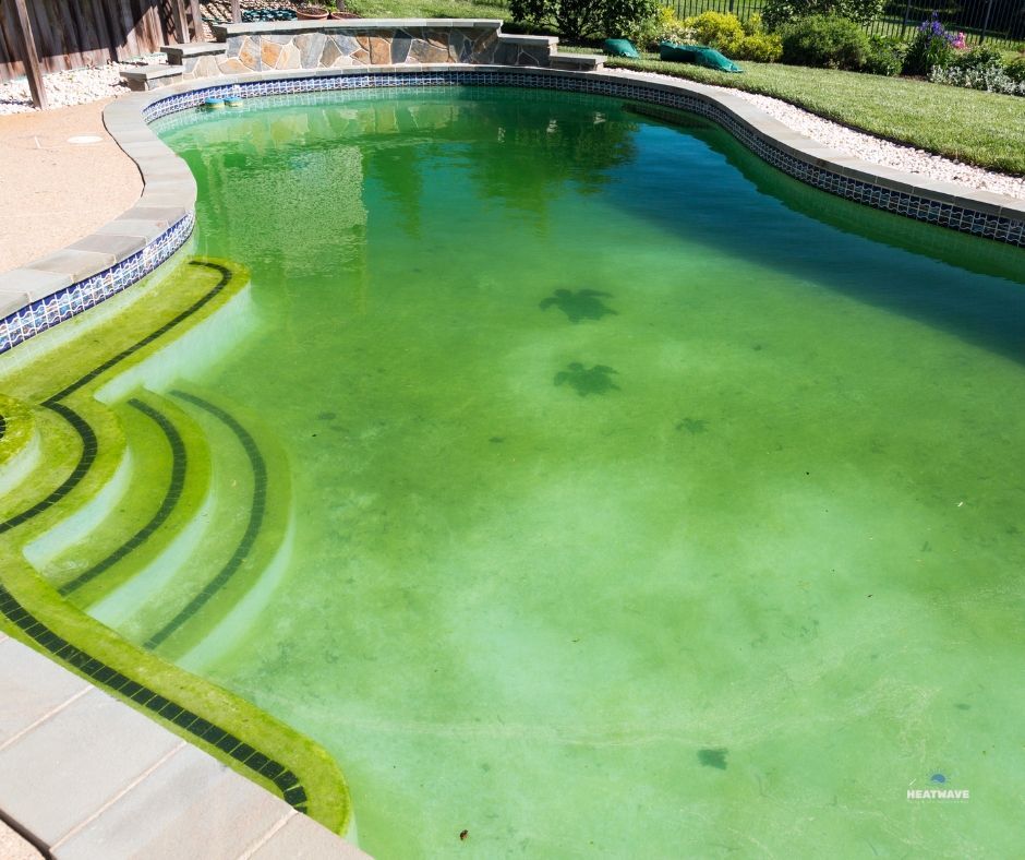 Dirty pool in need of cleaning in St. George Utah
