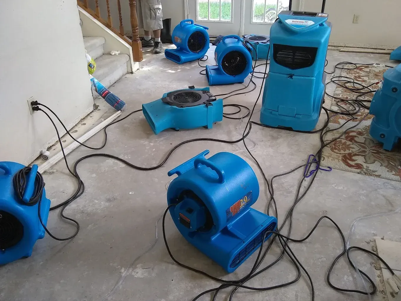 Water Removal Eldersburg MD