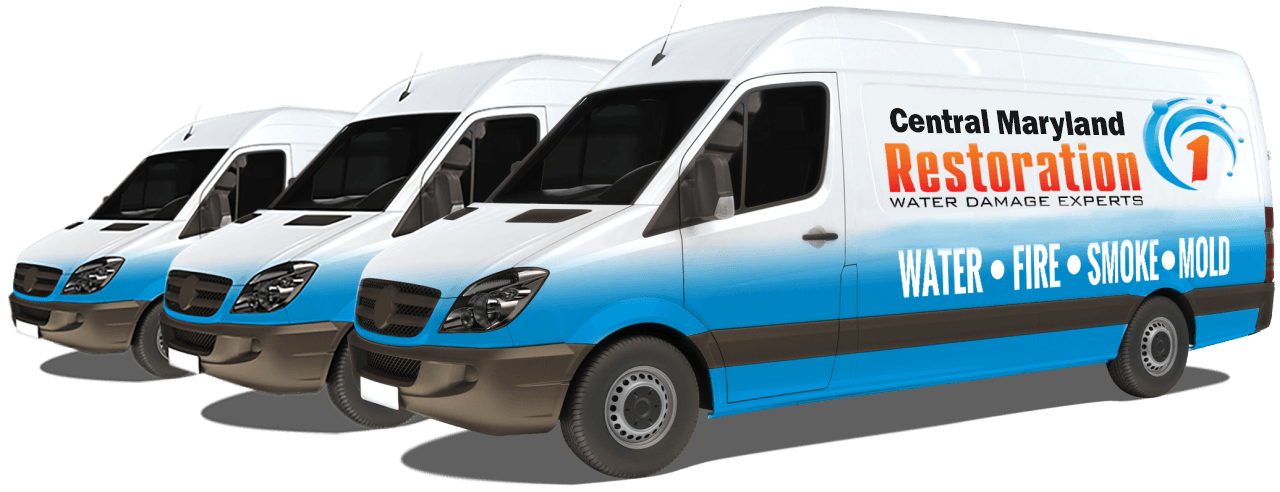 Restoration 1 of Central Maryland Water Restoration