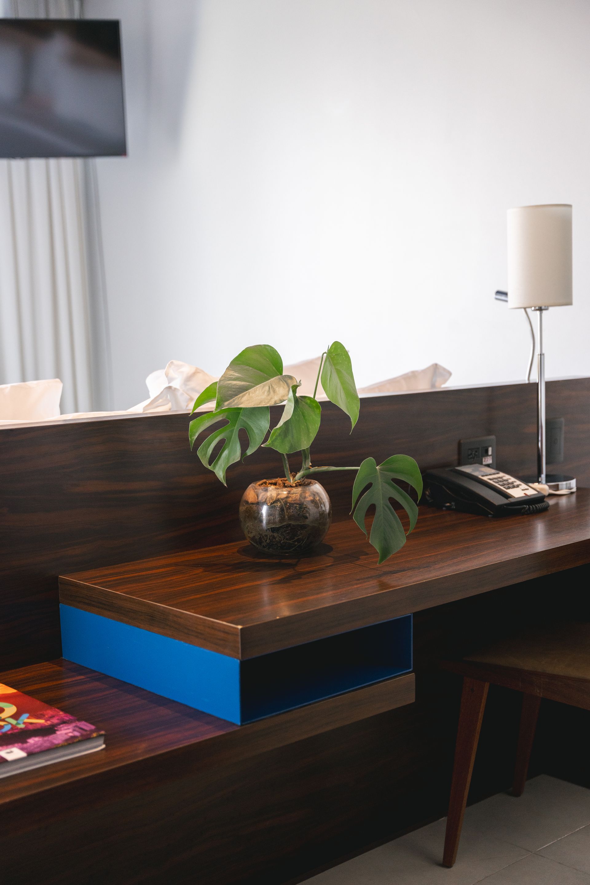 Mesa com uma planta Monstera em um vaso de vidro, luminária e telefone. A mesa é de madeira escura com detalhes em azul, em um quarto de hotel moderno.