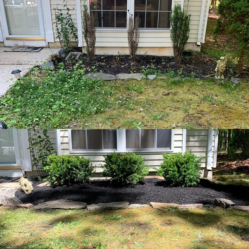 Before and After  Landscape of Plant — Egg Harbor Township, NJ — EV Lawn and Landscape