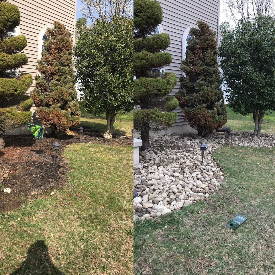Before and After Tree Landscape — Egg Harbor Township, NJ — EV Lawn and Landscape