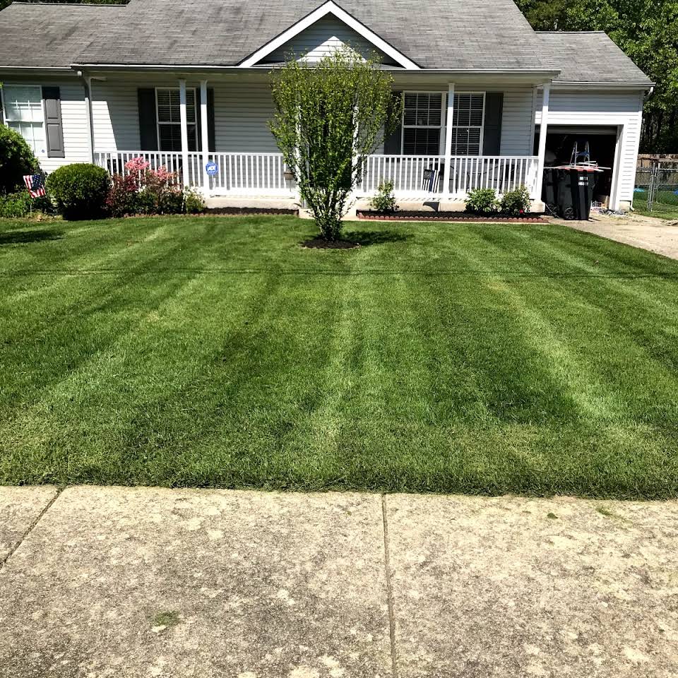 Newly Mown Grass — Egg Harbor Township, NJ — EV Lawn and Landscape