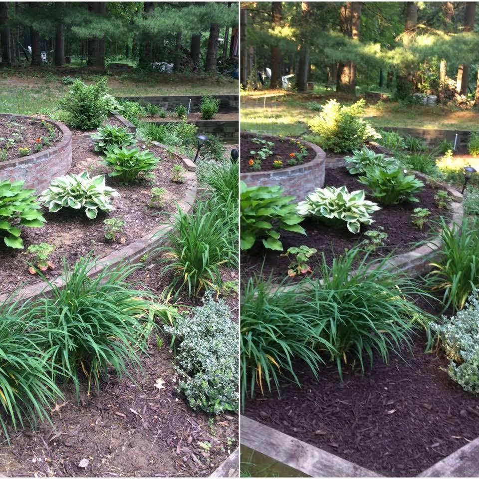 Before and After Landscape — Egg Harbor Township, NJ — EV Lawn and Landscape