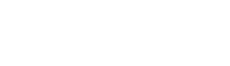 Surron Logo | Surron customised decals
