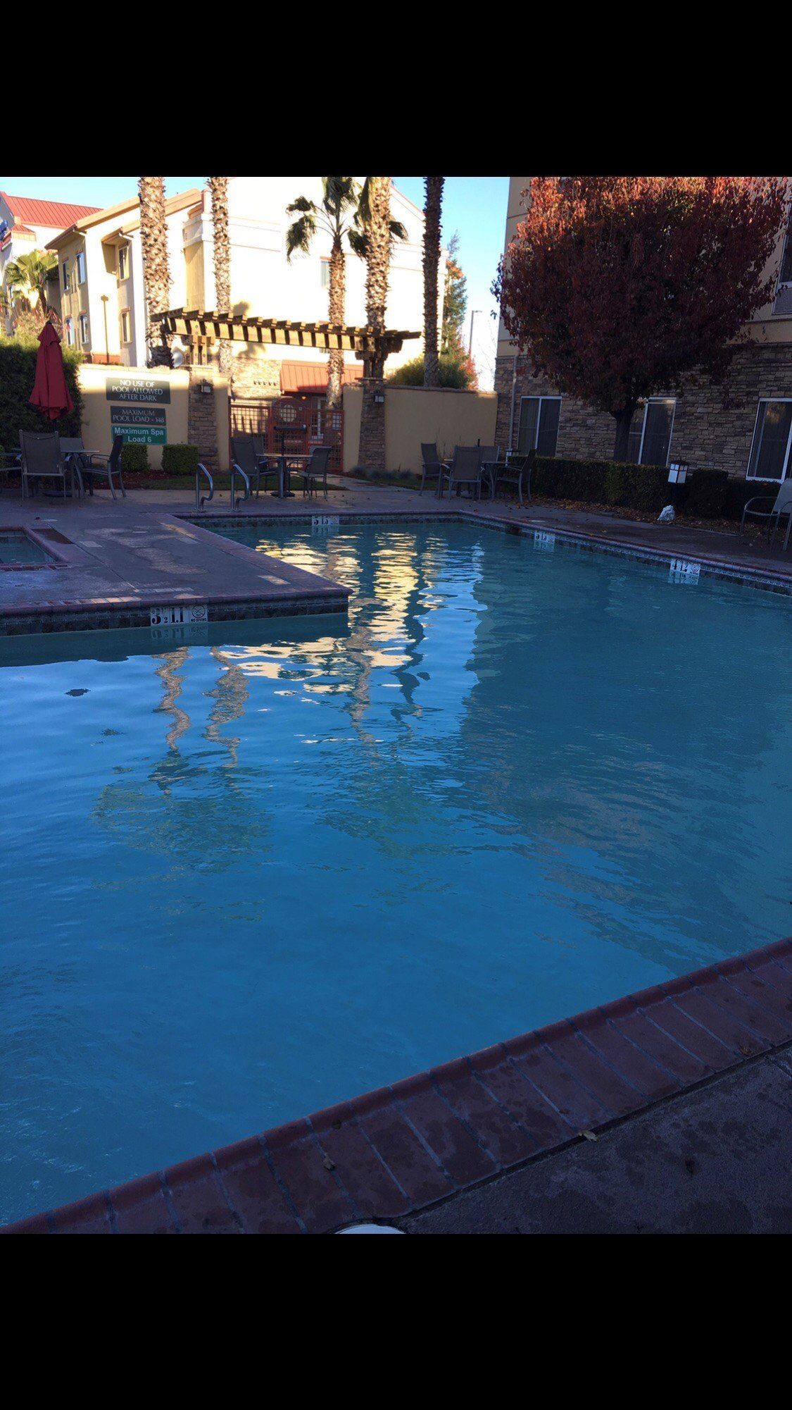 Tree Beside Swimming Pool | Denair, CA | JG Underwater Pool Service