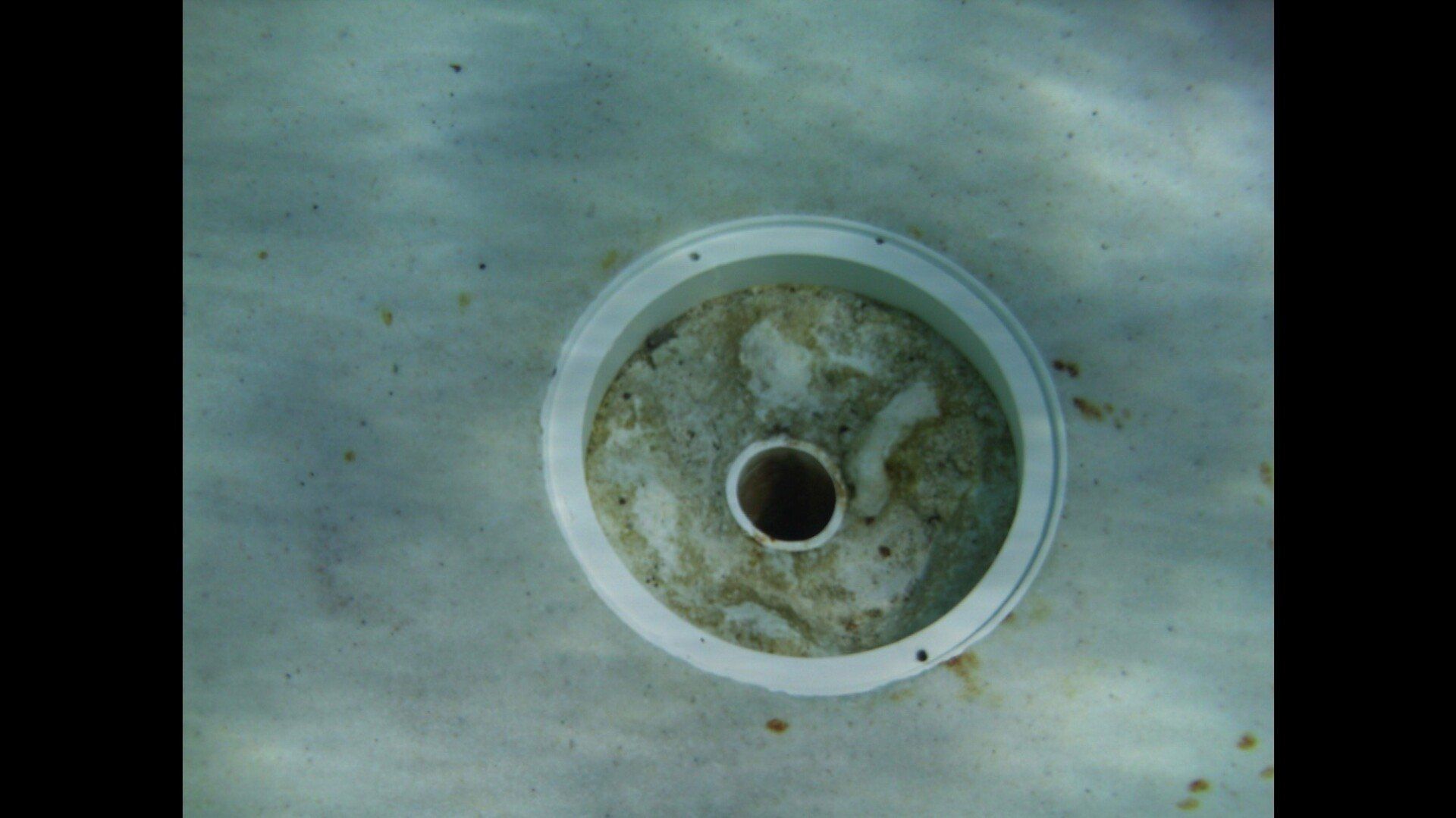 Swimming Pool Circle Drain | Denair, CA | JG Underwater Pool Service