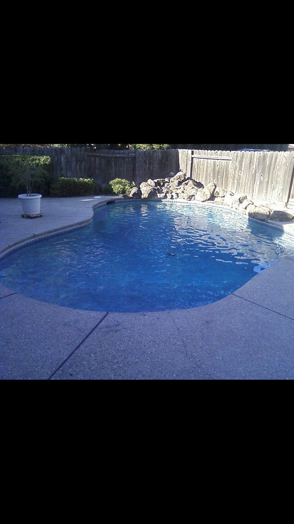 Plant Beside Swimming Pool | Denair, CA | JG Underwater Pool Service