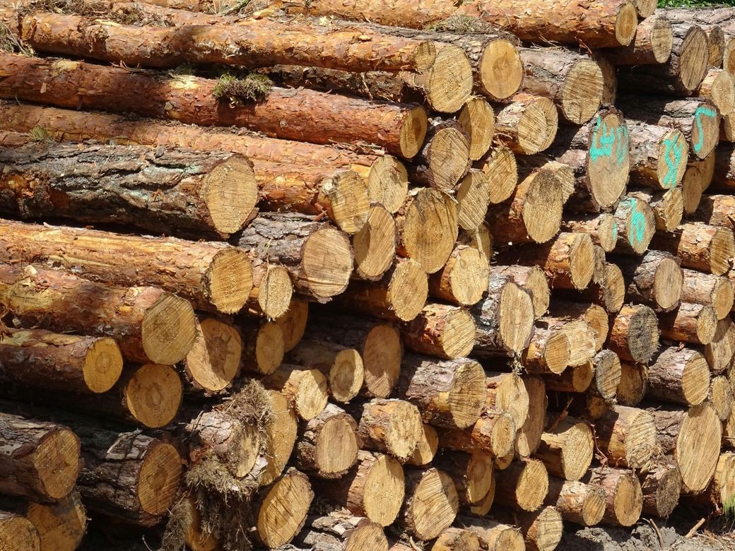A pile of logs are stacked on top of each other.