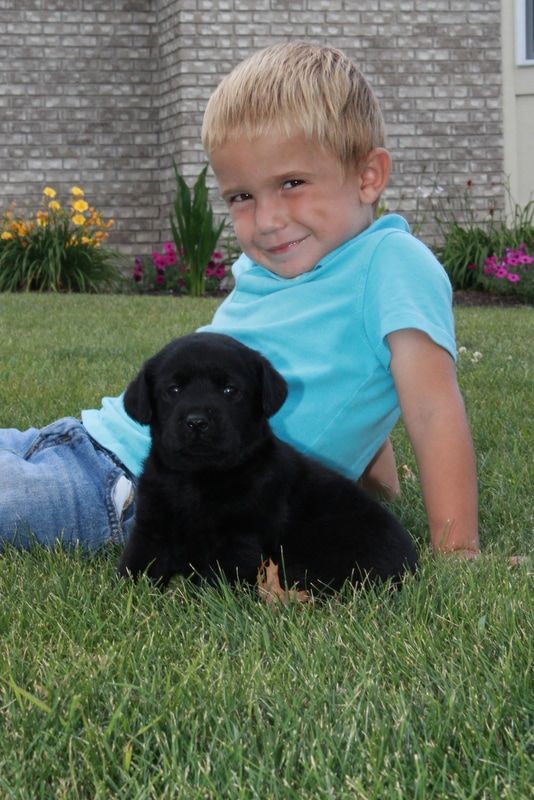Girl With Dog — Grabill, IN — Starlite Labradors