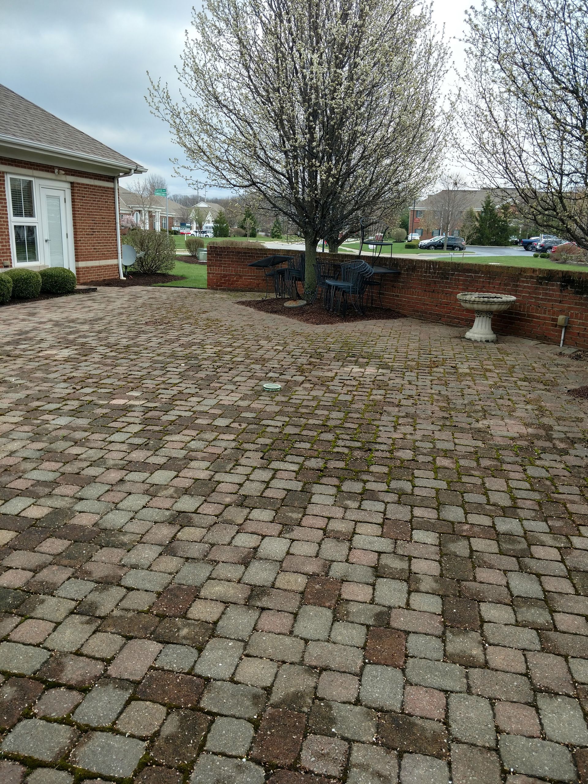 A brick patio with a tree in the background and a house in the background.