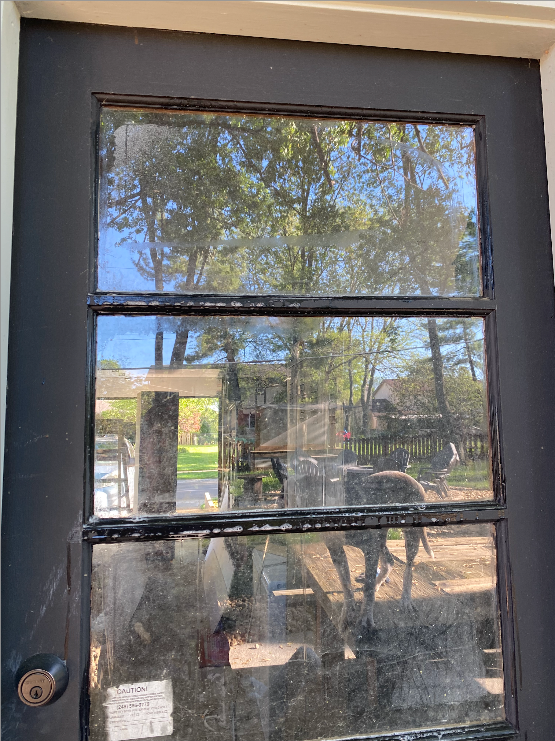 A black door with a reflection of trees in it