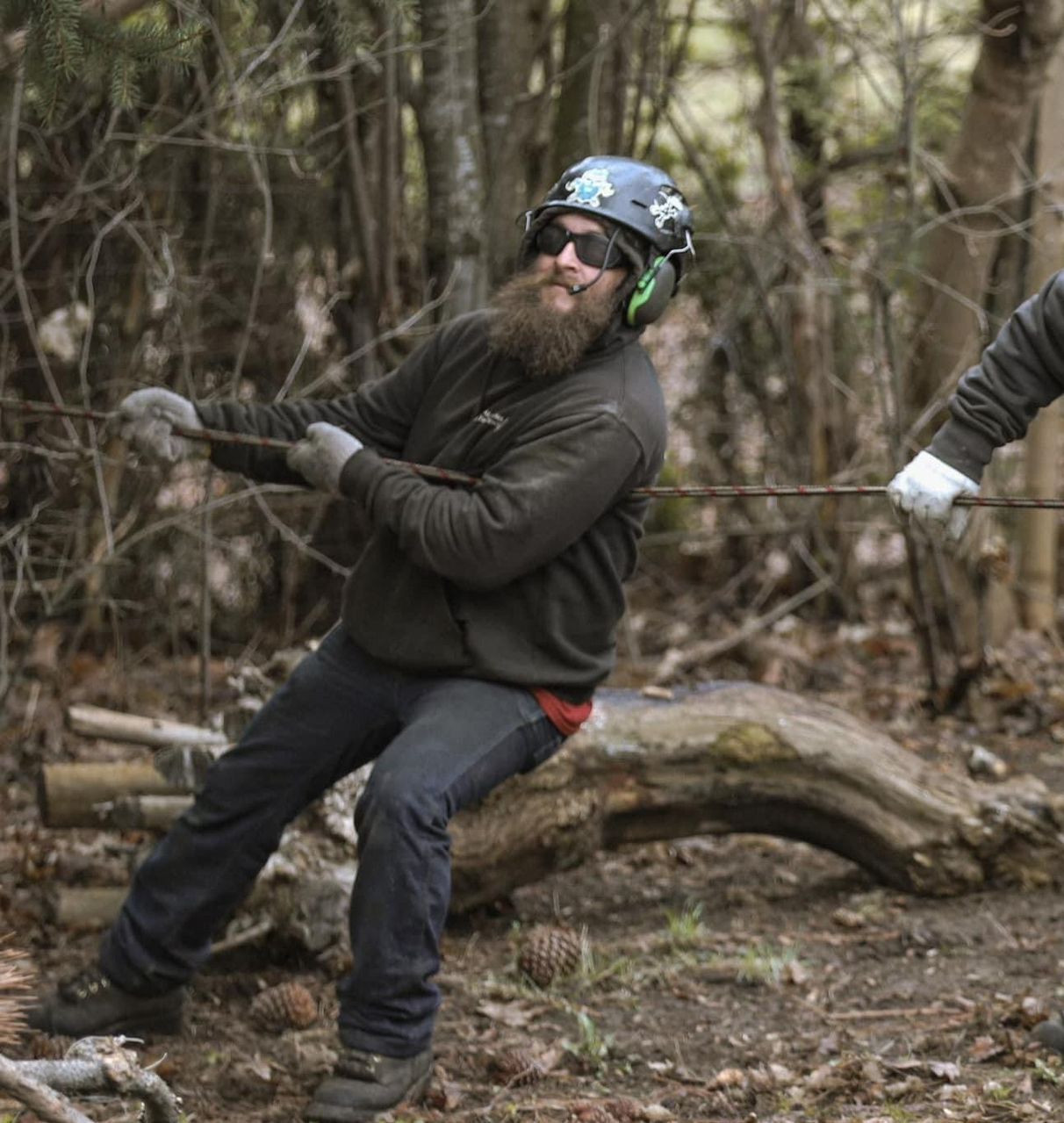 Two men are pulling a rope in the woods