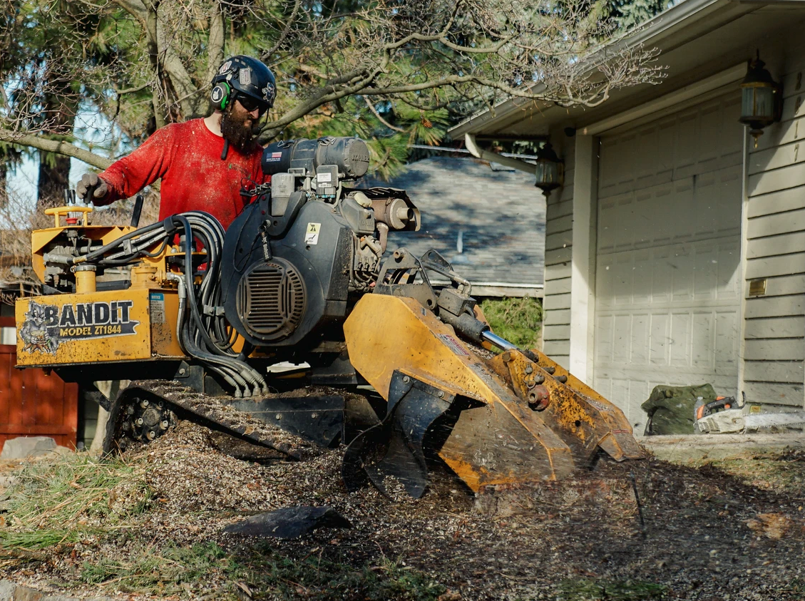 A man is using a machine to remove a tree stump in front of a house.