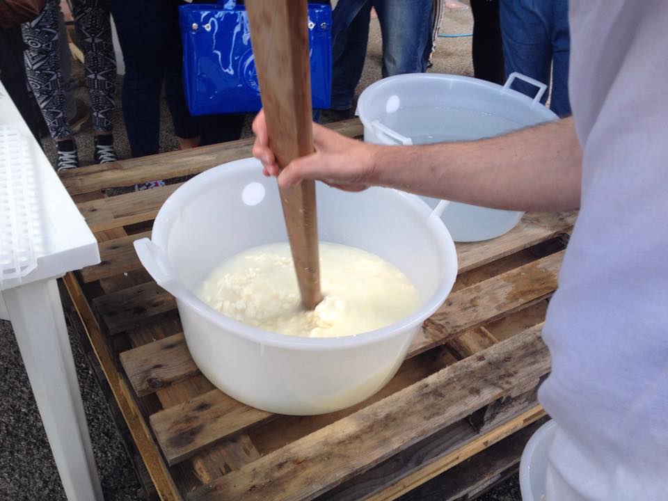 produzione di formaggio