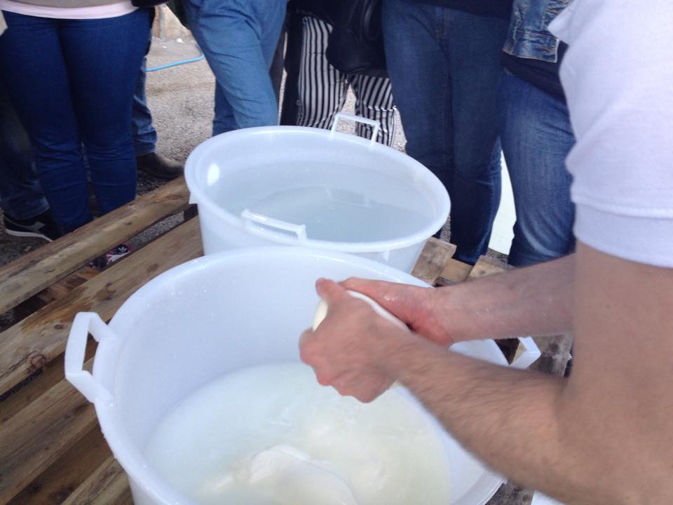 produzione di mozzarelle