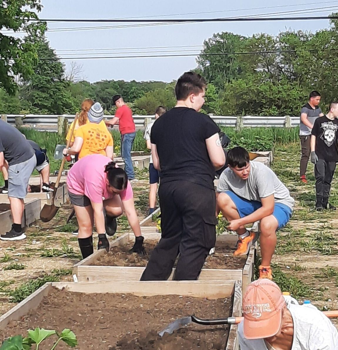 A group of people are working in a garden