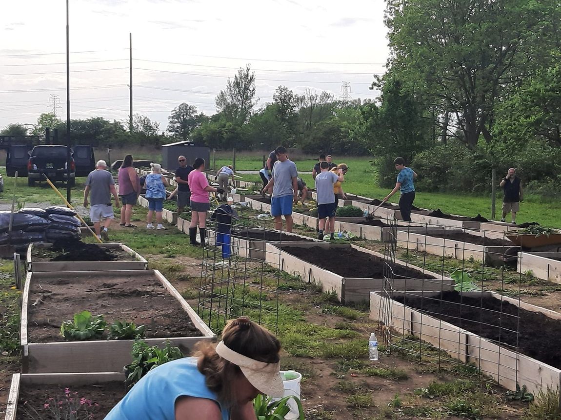 A group of people are working in a garden.